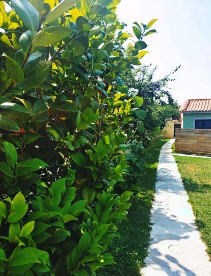 Casas Do Paco - Casas De Ferias Cabeceiras de Basto Εξωτερικό φωτογραφία