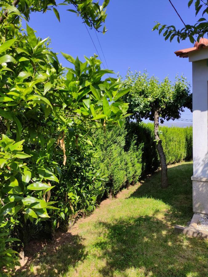 Casas Do Paco - Casas De Ferias Cabeceiras de Basto Εξωτερικό φωτογραφία