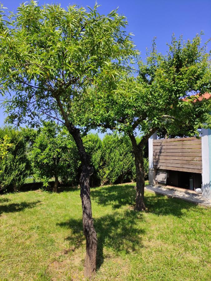 Casas Do Paco - Casas De Ferias Cabeceiras de Basto Εξωτερικό φωτογραφία
