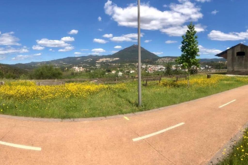 Casas Do Paco - Casas De Ferias Cabeceiras de Basto Εξωτερικό φωτογραφία